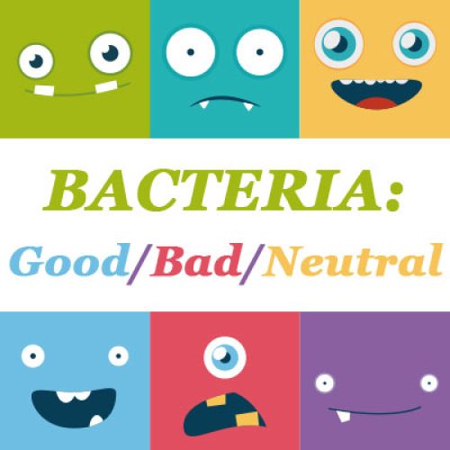 Bacteria: The Good, the Bad & the Neutral (featured image)