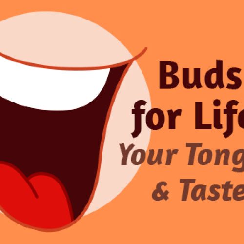 Buds for Life: Your Tongue & Taste (featured image)